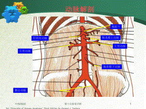 腹主动脉瘤讲解培训课件.ppt