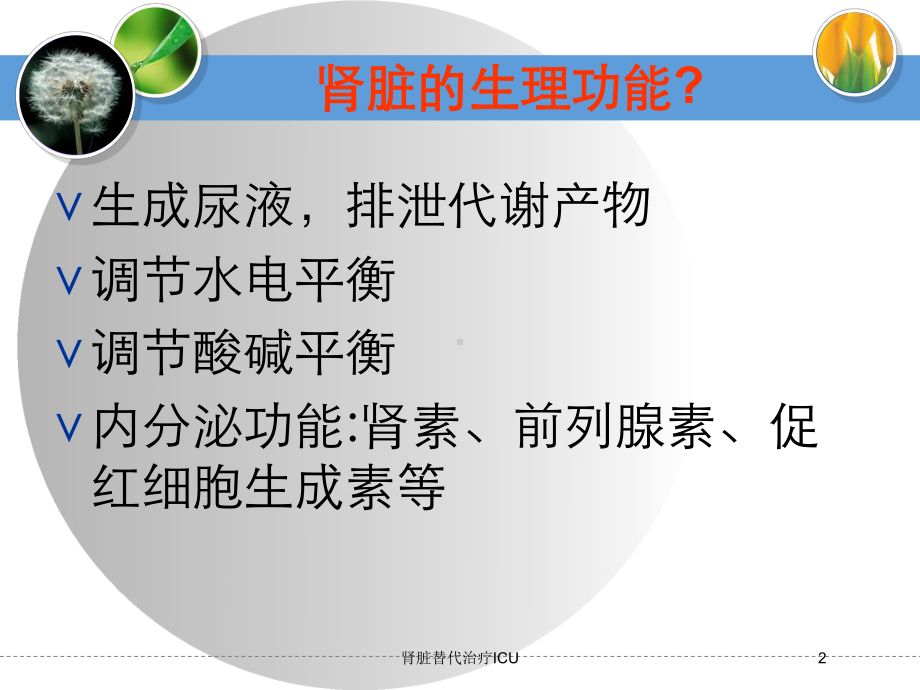 肾脏替代治疗ICU培训课件.ppt_第2页