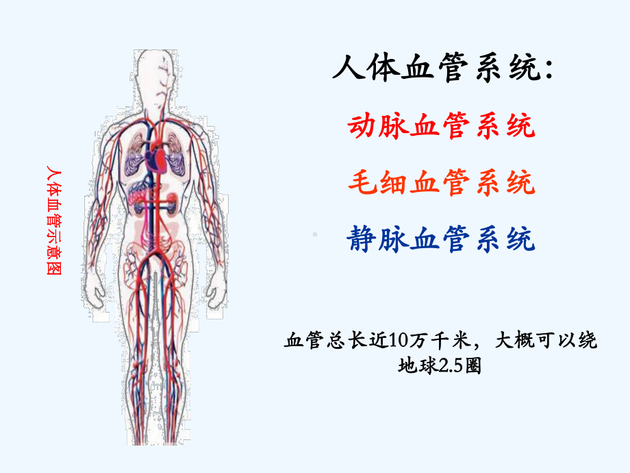 血管健康与人体健康同行课件.ppt_第3页