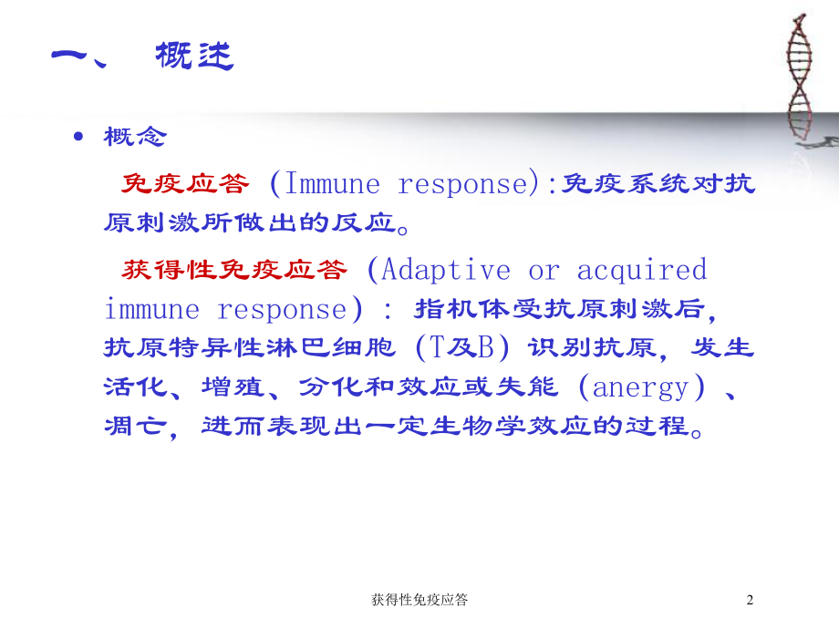 获得性免疫应答培训课件.ppt_第2页