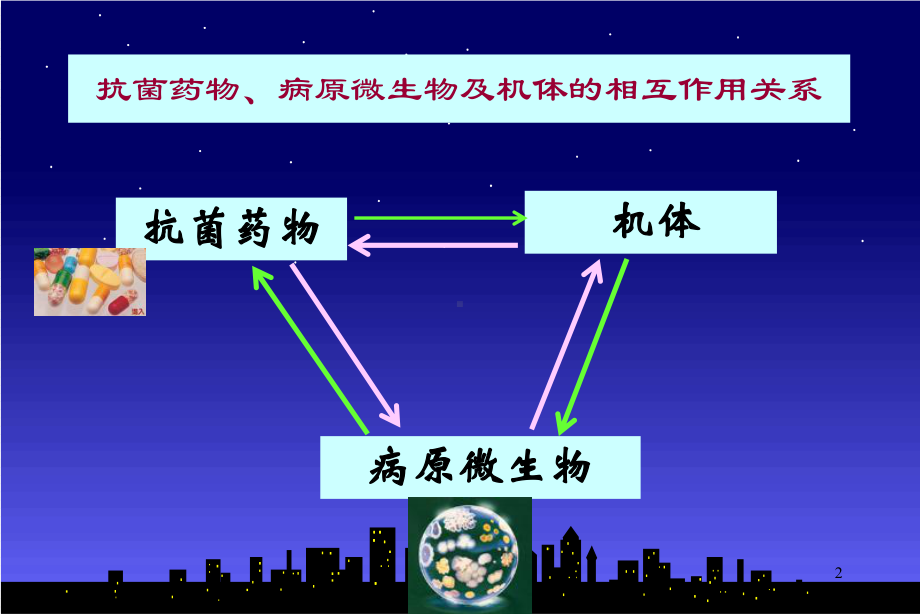 抗菌药物的临床药理学课件.ppt_第2页