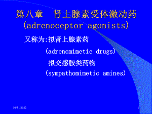 肾上腺素受体激动药99课件.ppt