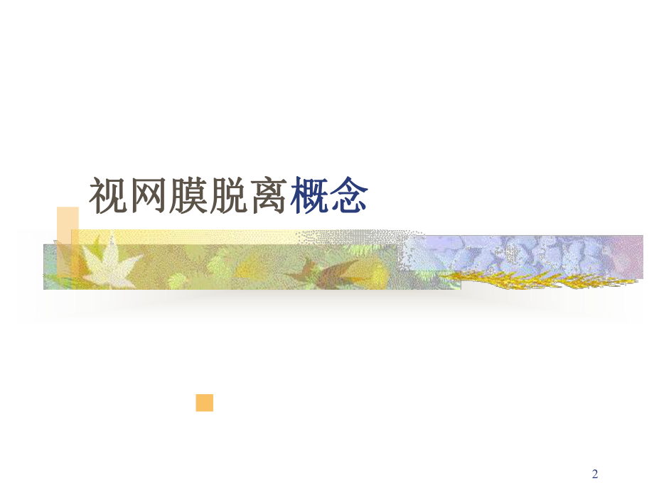 视网膜脱离医学宣教培训课件.ppt_第2页