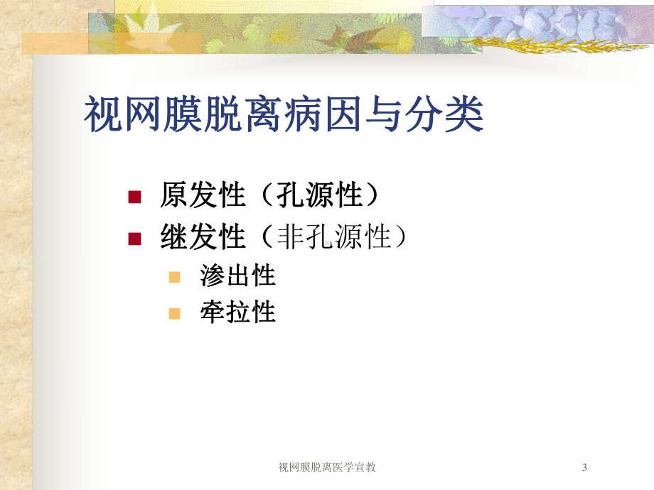 视网膜脱离医学宣教培训课件.ppt_第3页