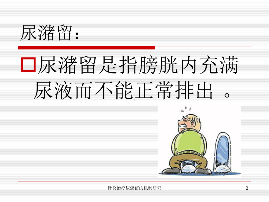 针灸治疗尿潴留的机制研究培训课件.ppt_第2页