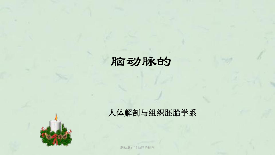 脑动脉willis环的解剖课件.ppt_第1页