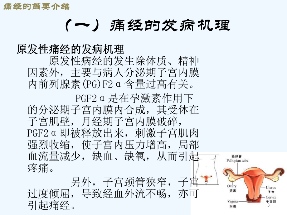 非处方药痛经药课件.ppt_第3页