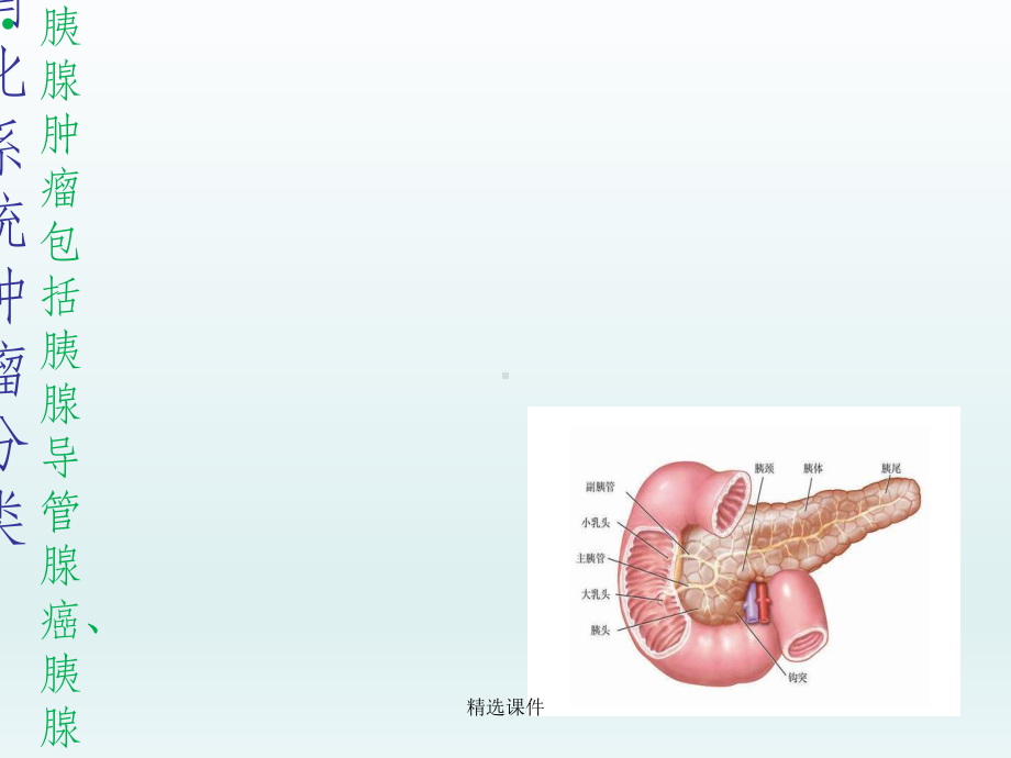 胰腺肿瘤分类及诊疗课件.ppt_第2页