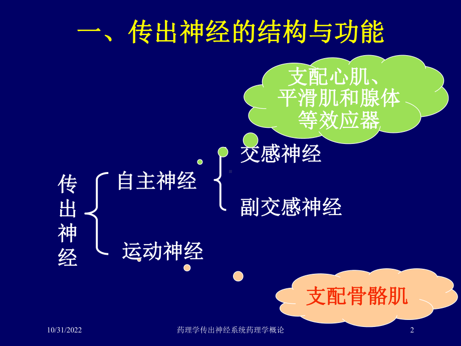 药理学传出神经系统药理学概论培训课件.ppt_第2页