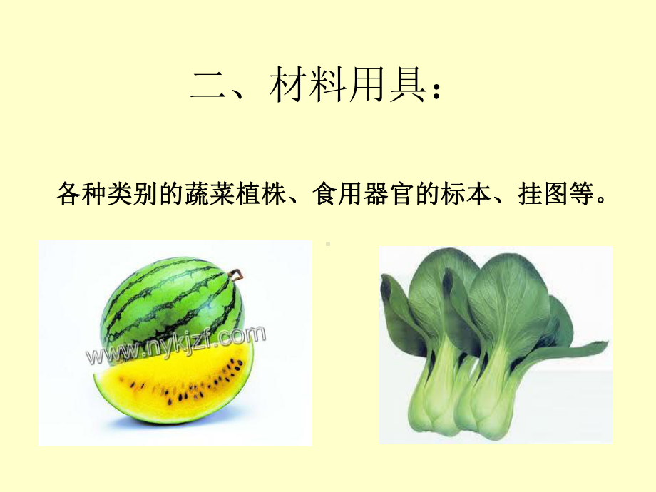 蔬菜植物的识别与分类课件.ppt_第3页