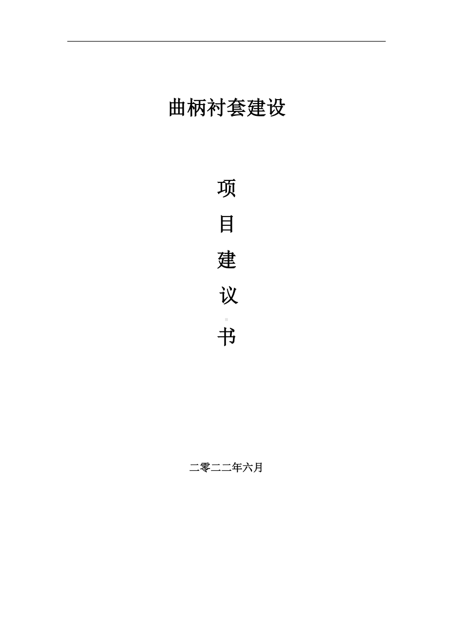 曲柄衬套项目建议书（写作模板）.doc_第1页