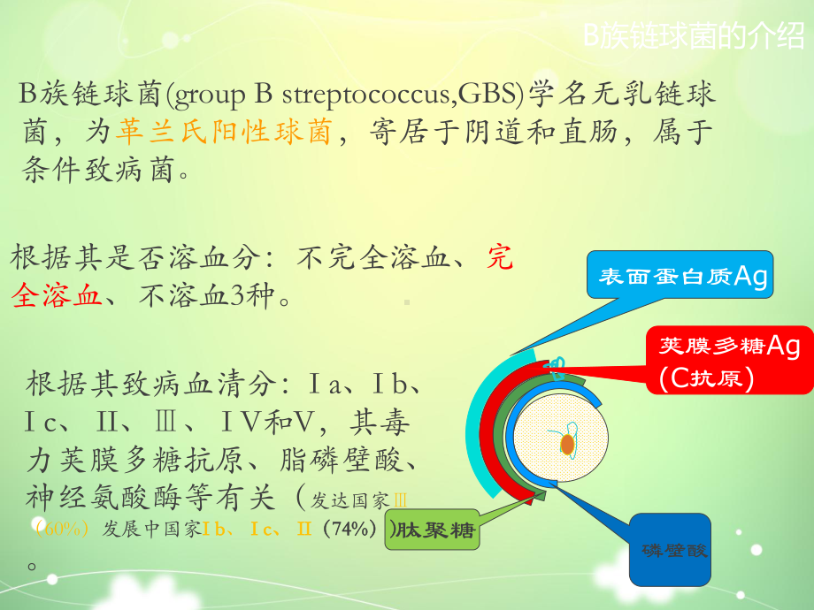 荧光PCR法检测GBS临床意义某课件.ppt_第3页