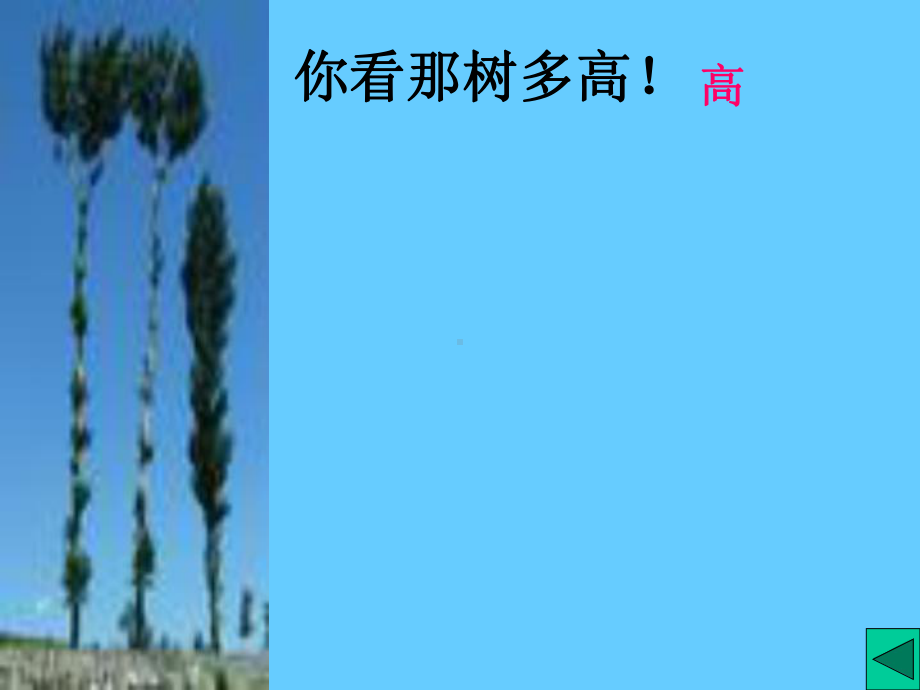 小学语文白杨-课件.ppt_第3页