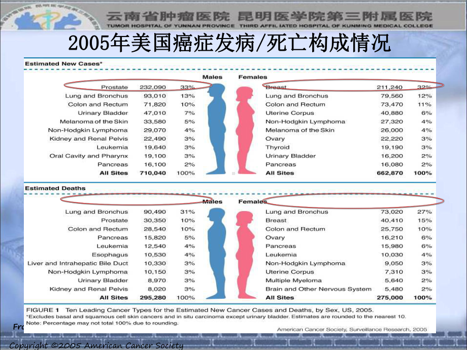 云南肺癌防治及综合治疗课件.ppt_第3页