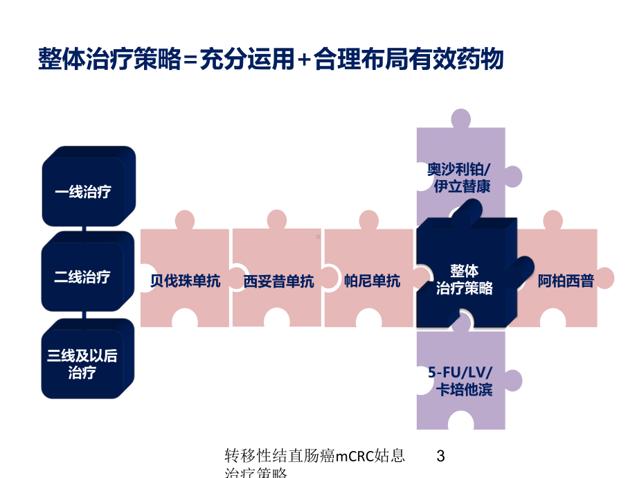 转移性结直肠癌mCRC姑息治疗策略培训课件.ppt_第3页