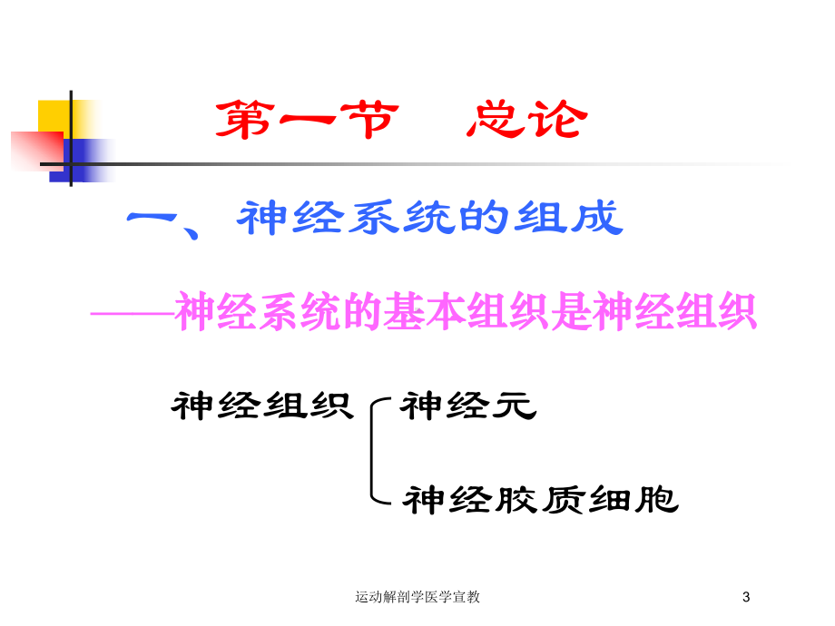 运动解剖学医学宣教培训课件.ppt_第3页