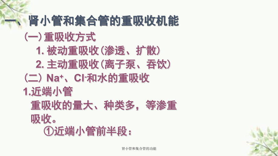 肾小管和集合管的功能课件.ppt_第2页