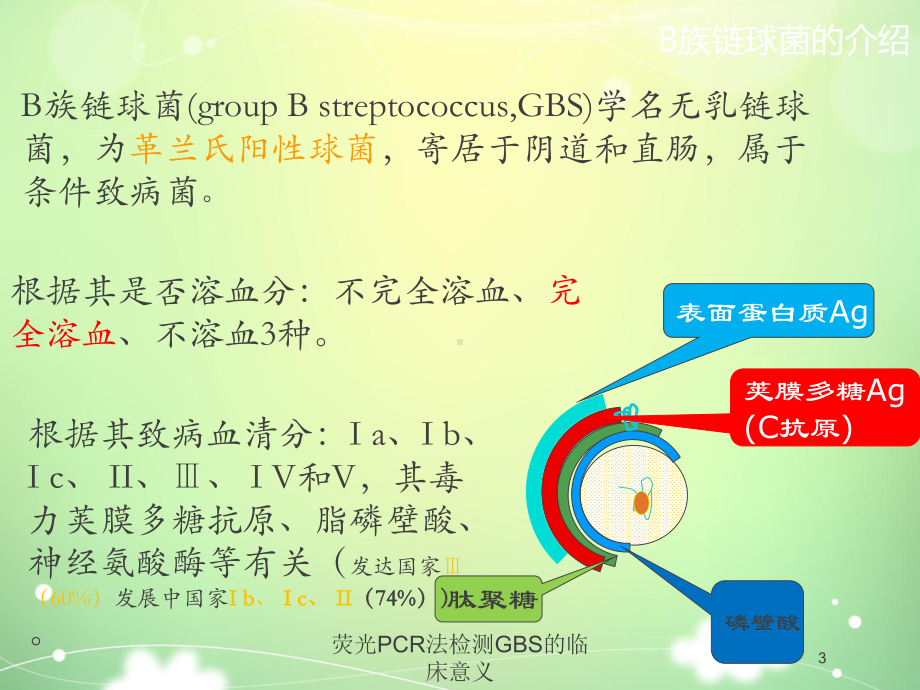 荧光PCR法检测GBS的临床意义培训课件.ppt_第3页