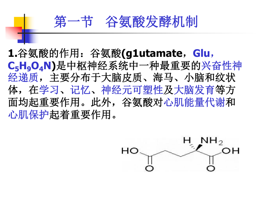 氨基酸工艺学第二章谷氨酸发酵机制课件.ppt_第2页