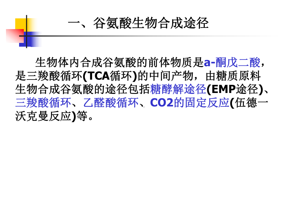 氨基酸工艺学第二章谷氨酸发酵机制课件.ppt_第3页