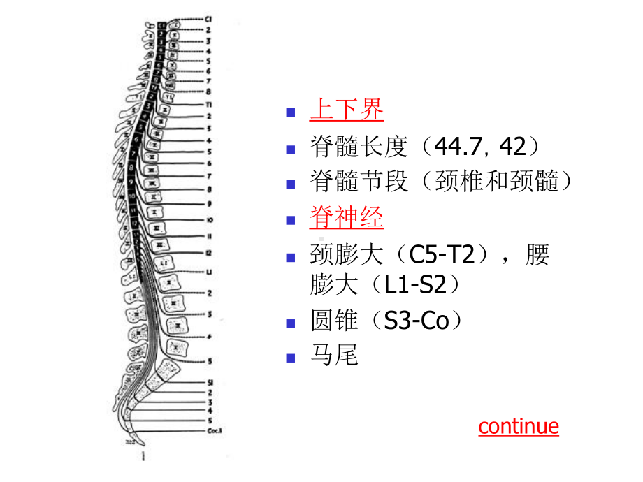 脊髓疾病影像诊断课件.ppt_第3页