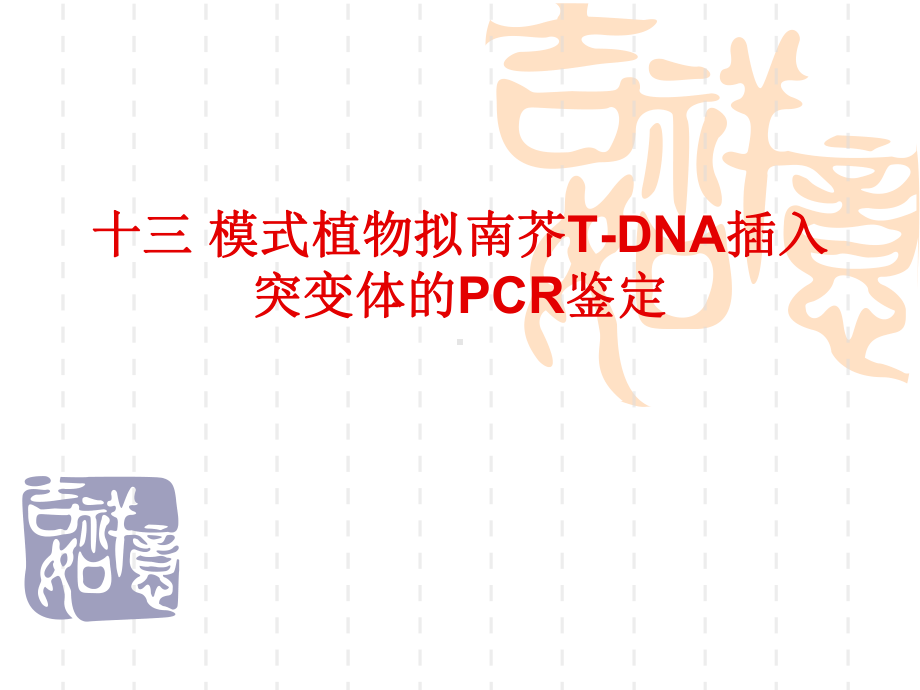 模式植物拟南芥T-DNA插入突变体的PCR鉴定-共21张课件.ppt_第1页