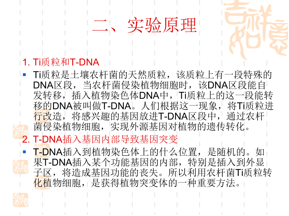 模式植物拟南芥T-DNA插入突变体的PCR鉴定-共21张课件.ppt_第3页