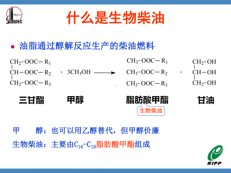 生物柴油生产工艺课件.ppt_第3页