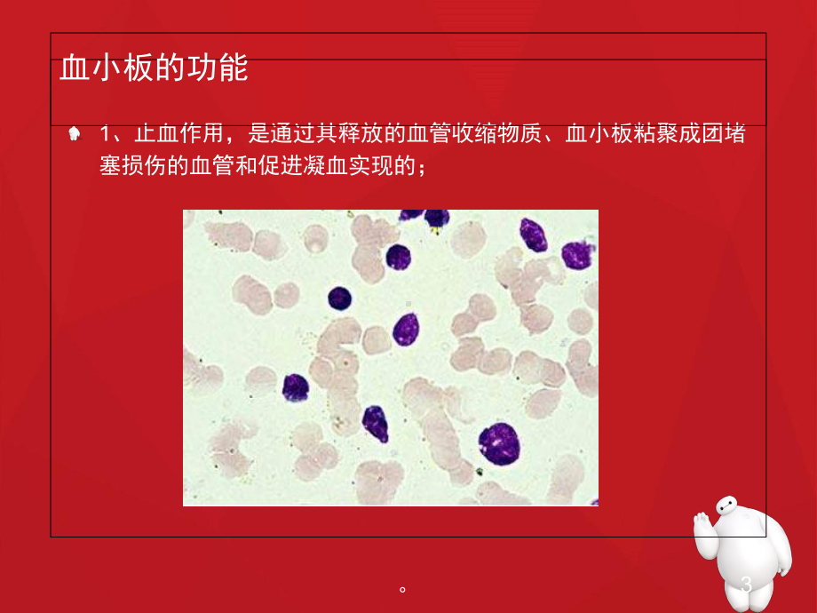 新版血小板减少症个案护理查房课件.ppt_第3页