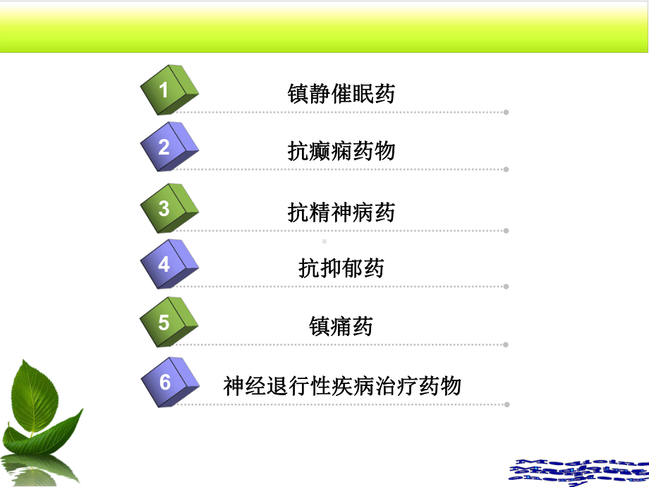 药物化学中枢神经系统药物培训课件.ppt_第2页