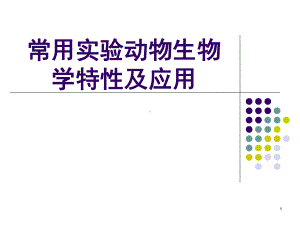 常用实验动物课件.ppt