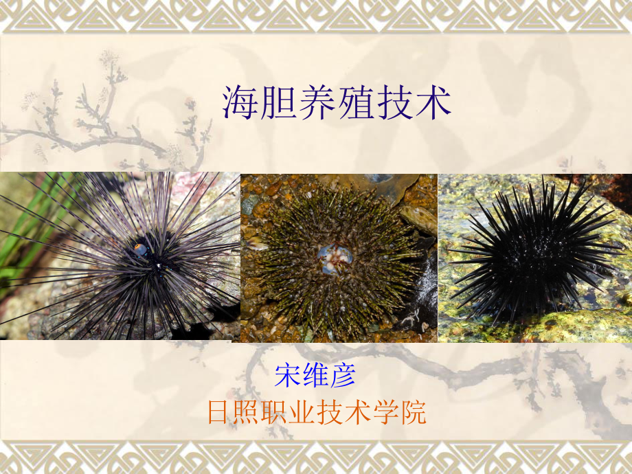 海胆养殖技术生物学特性课件.ppt_第1页