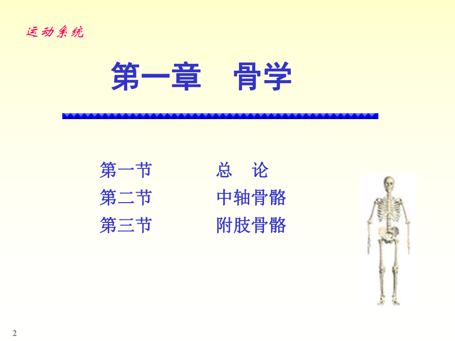 人体解剖实验-课件.ppt_第2页