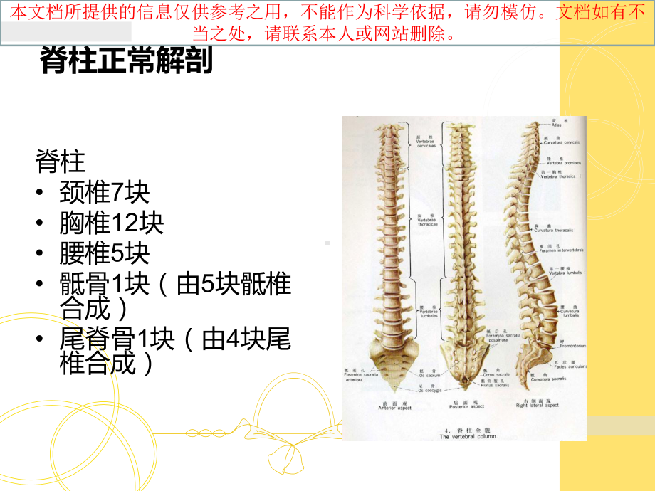 胎儿脊柱异常的超声诊疗培训课件.ppt_第1页