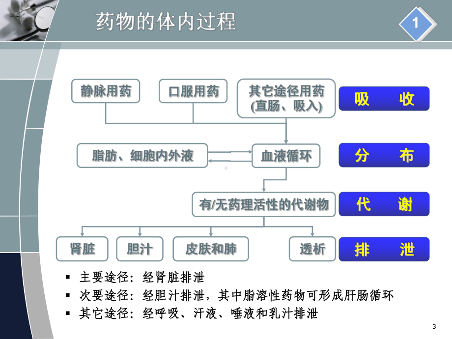 肾功能不全患者的合理用药课件-2.ppt_第3页