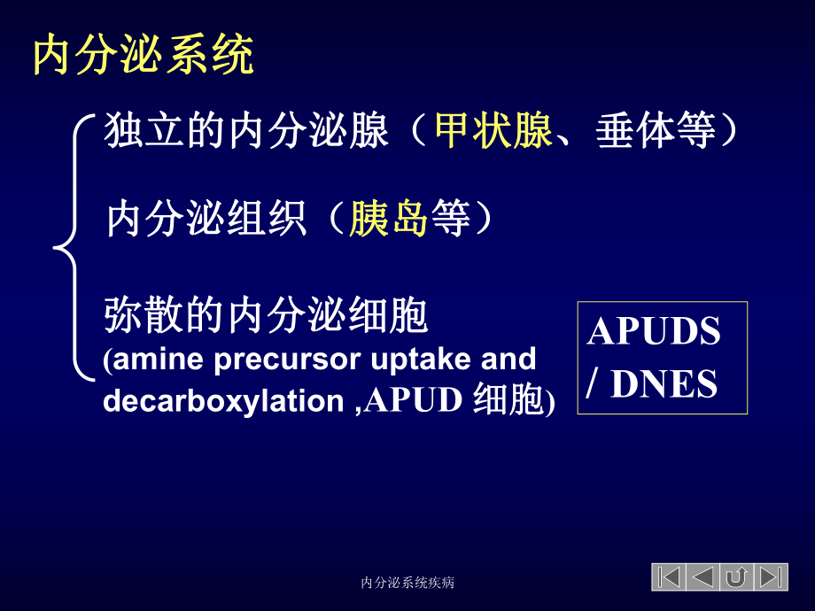 内分泌系统疾病培训课件1.ppt_第2页