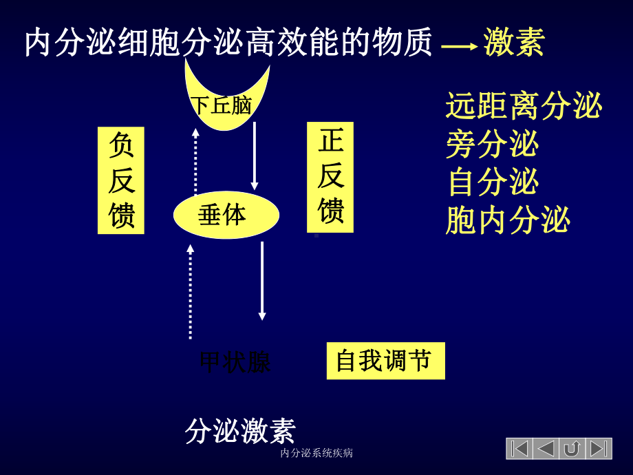 内分泌系统疾病培训课件1.ppt_第3页