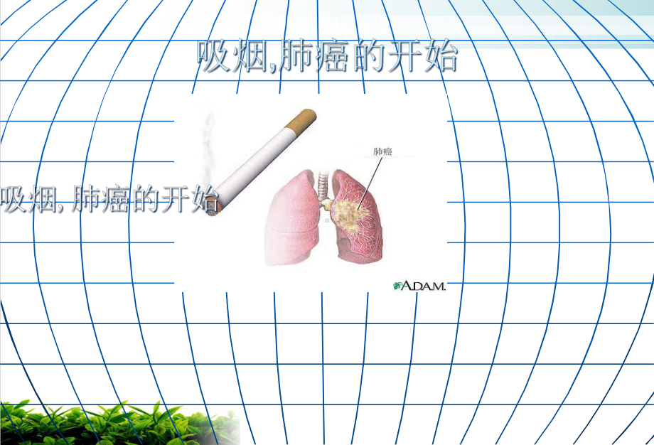 主题班会无烟校园主题班会完美课件.ppt_第3页