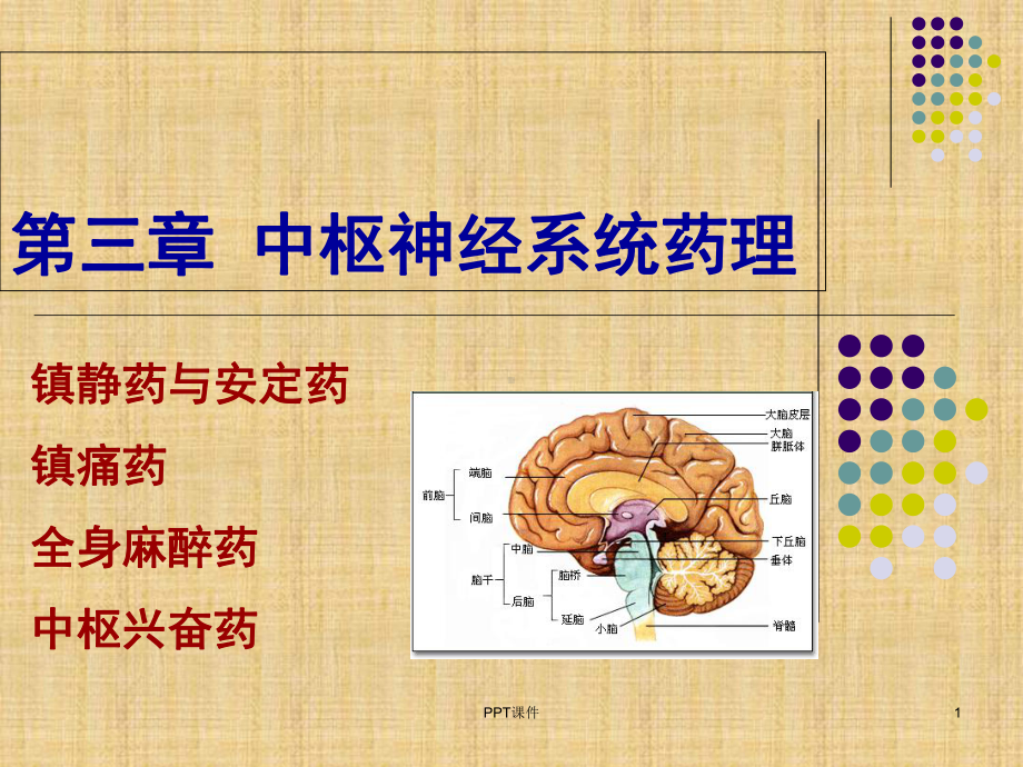 药理学第三章中枢神经系统药理-课件.ppt_第1页