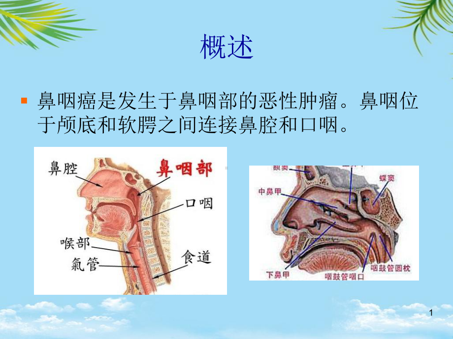 课件-防治鼻咽癌的中药.ppt_第1页