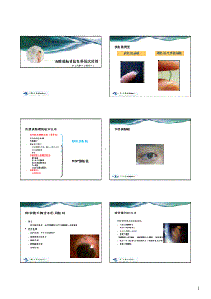 接触镜的眼科临床应用课件.pptx