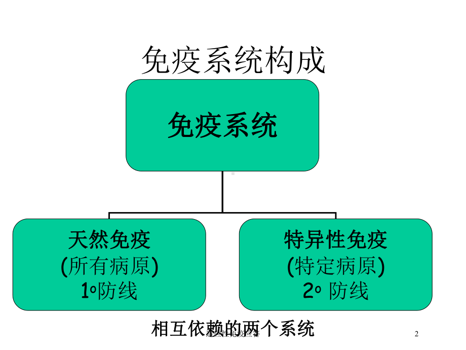 适应性免疫应答培训课件.ppt_第2页