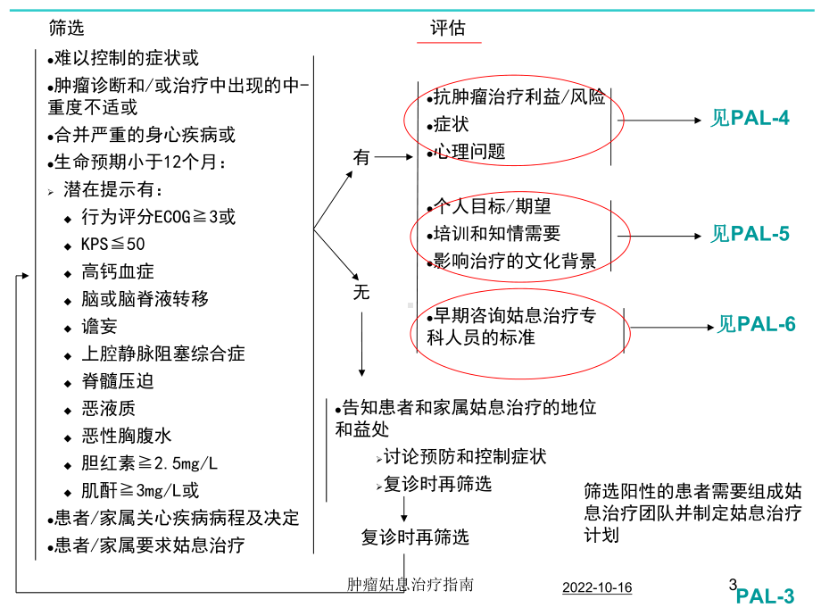 肿瘤姑息治疗指南培训课件.ppt_第3页