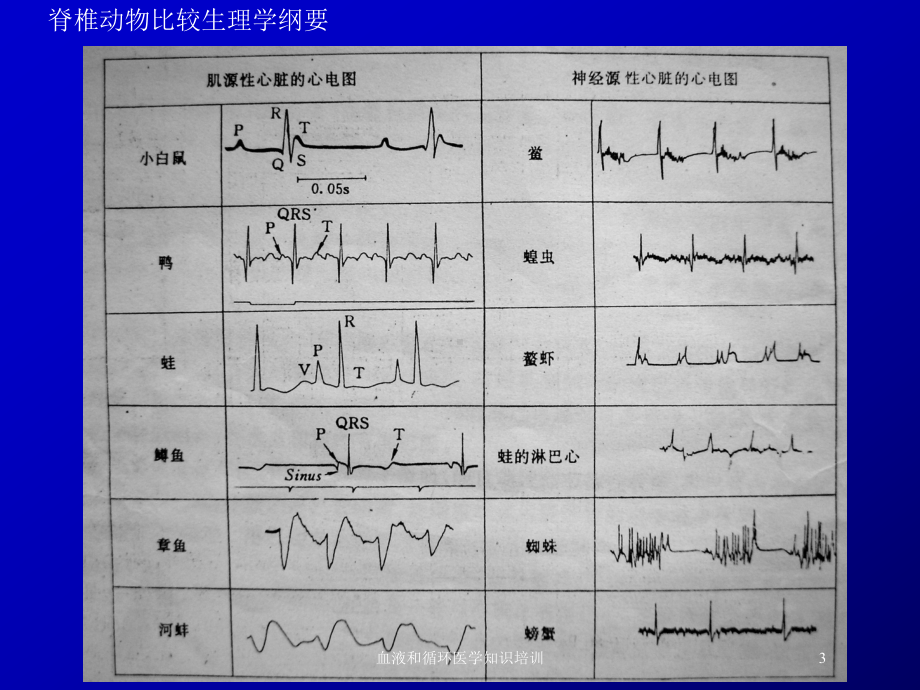 血液和循环医学知识培训培训课件.ppt_第3页