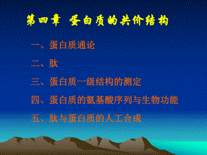 生物化学第4章方案.ppt