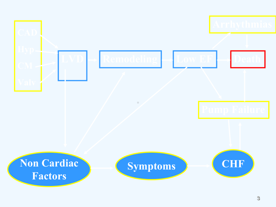 难治性心力衰竭的综合治疗课件.ppt_第3页