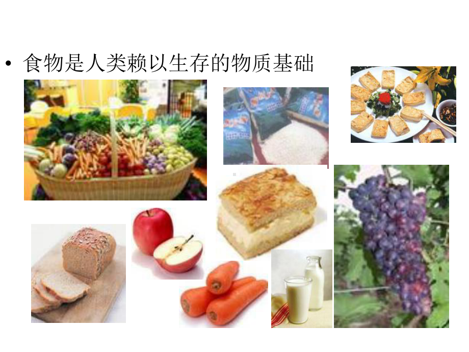 提供能量与营养的食物课件.ppt_第3页