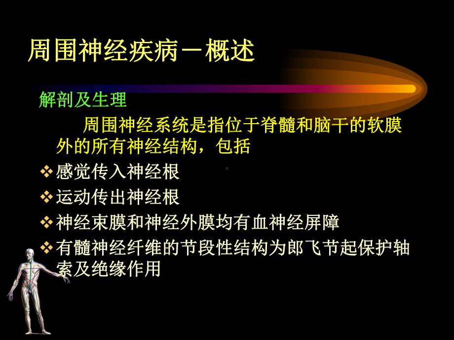 五版周围神经病课件.ppt_第3页