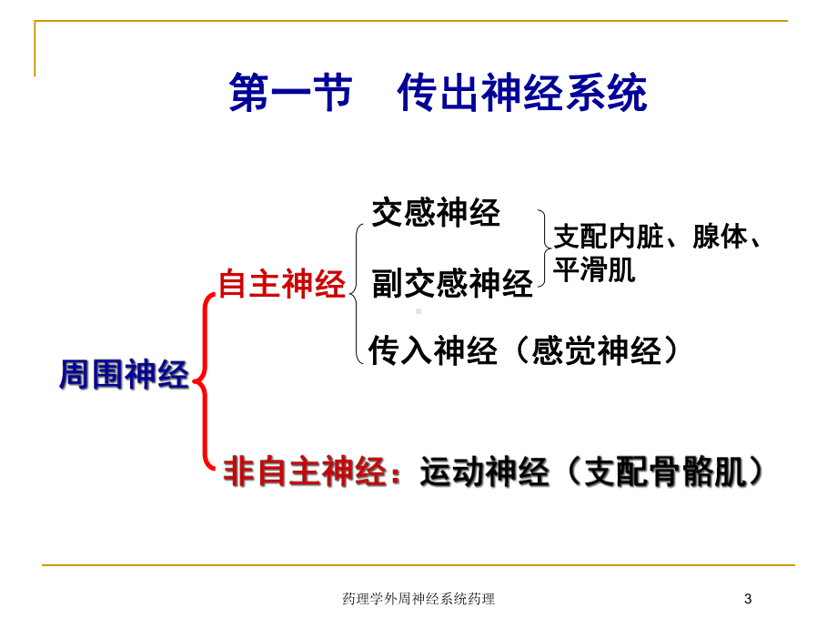 药理学外周神经系统药理培训课件.ppt_第3页