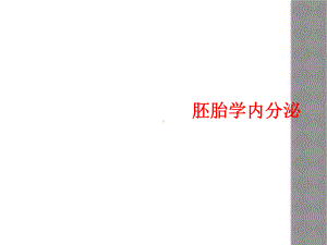 胚胎学内分泌课件.ppt